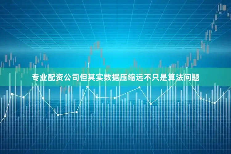专业配资公司但其实数据压缩远不只是算法问题
