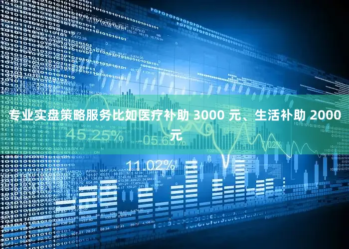 专业实盘策略服务比如医疗补助 3000 元、生活补助 2000 元