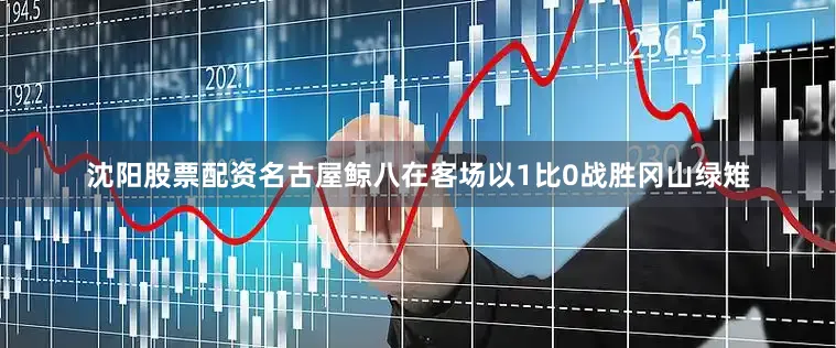 沈阳股票配资名古屋鲸八在客场以1比0战胜冈山绿雉